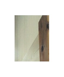 Daniel Wellington | アナログ腕時計