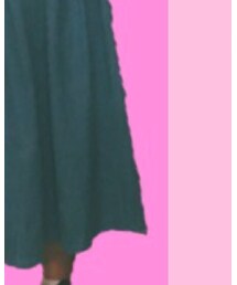 paravion | デニムスカート