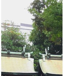 Y-3 | ニットキャップ/ビーニー