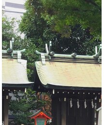 CAMAIEU | シャツ/ブラウス