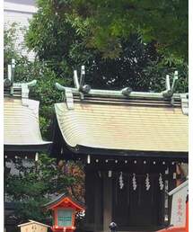 HANES | Tシャツ/カットソー