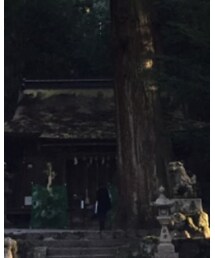 Timberland | ブルゾン