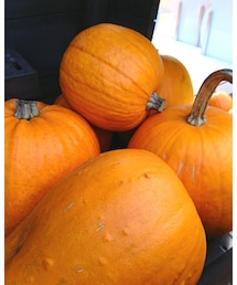 ルスツリゾート② | その他