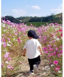★ | その他
