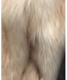 SNIDEL | ジャケット/アウター