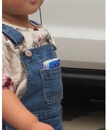 从爸包里捞的纸巾 | その他