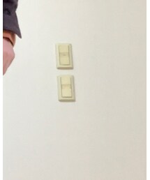 チキン南蛮派 | その他