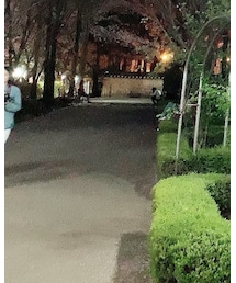 PRADA | トートバッグ