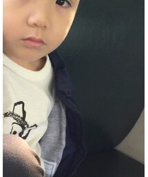 Jacadi | トップス