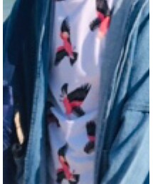 dangerfield | シャツ/ブラウス