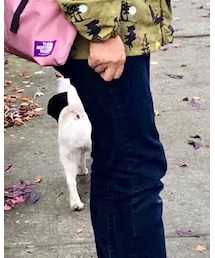 GAP | デニムパンツ