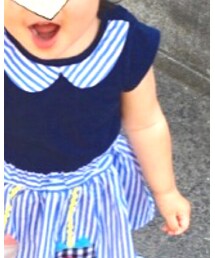 Sunny Landscape | ワンピース