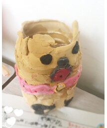 🎁💕 | その他