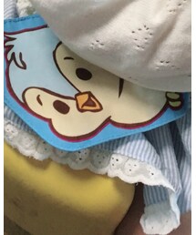 カサカサ鳴る鳥 | その他