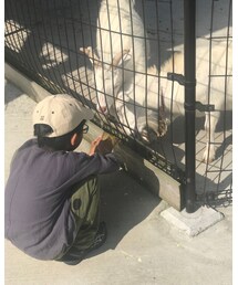 Korea | キャップ