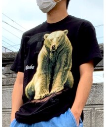 FRUIT OF THE LOOM | Tシャツ/カットソー