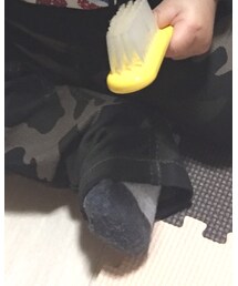 Champion | ソックス/靴下