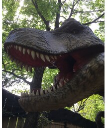 ディノアドベンチャー🌳 | その他