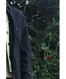 STUSSY | シャツ/ブラウス