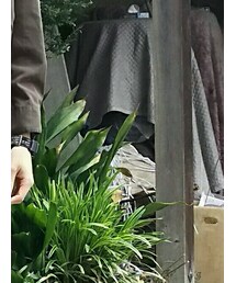 G-SHOCK | アナログ腕時計