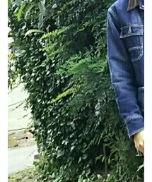 Subciety | デニムジャケット