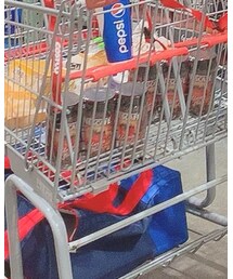 THE NORTH FACE | トートバッグ