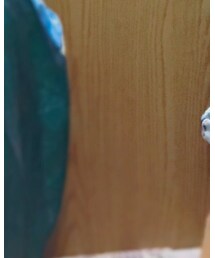 INNATE | その他シューズ