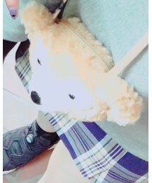 Disney | 財布/小物