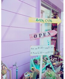 ありんくりん💜 | その他