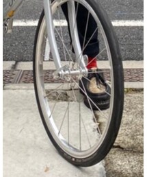 dahon | その他