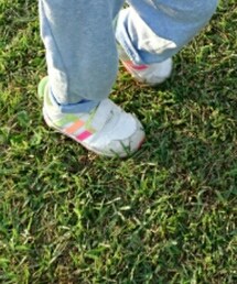 adidas | スニーカー