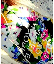 STUSSY | Tシャツ/カットソー