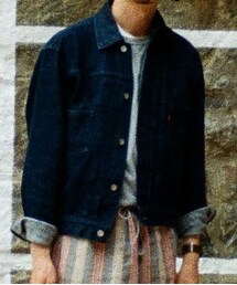 Engineered Garments | Levi's Vintage Clothing Jacket(デニムジャケット)