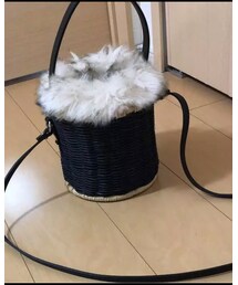 ZARA | かごバッグ