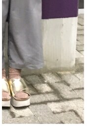 靴下屋 | ソックス/靴下