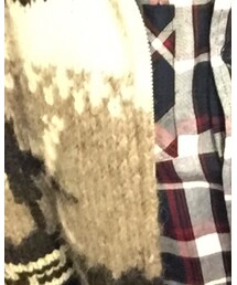 Inpaichthys kerri | ジャケット/アウター