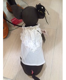 パール付フリル(シャツ/ブラウス)