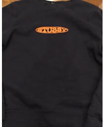 STUSSY | スウェット