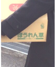 ほうれん草 | ファッション雑貨