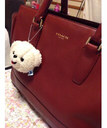 COACH | バック(トートバッグ)