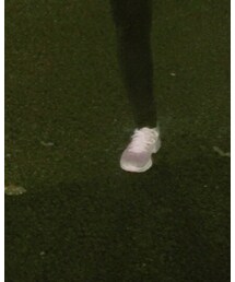 SKECHERS | スニーカー