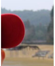 GAP | Tシャツ/カットソー