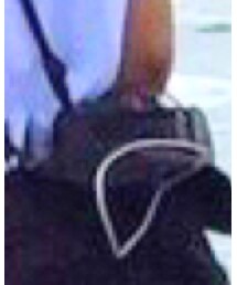 Nikon | カメラ/カメラグッズ