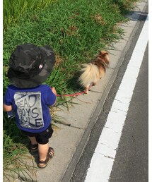 no brand | その他