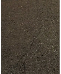 その他セレクト | Tシャツ/カットソー