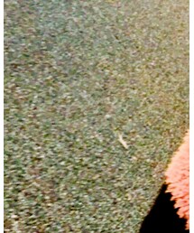 rondine | パーカー