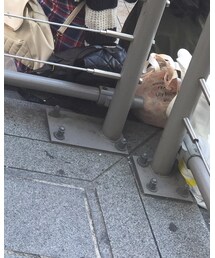 TOKYO BOPPER | シューズ