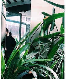 NEW ERA | キャップ