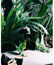 韓国のなんとかってやつ | ライダースジャケット