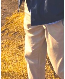 UNIQLO | チノパンツ